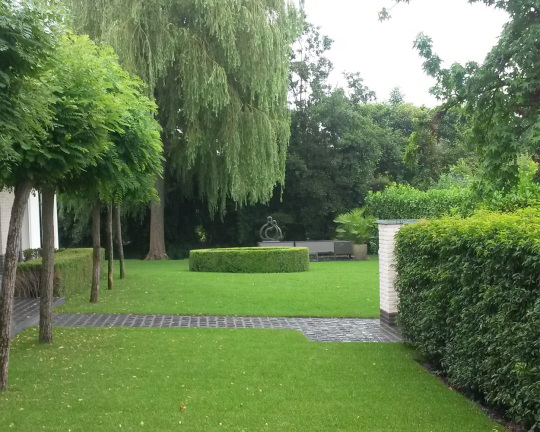 Klassieke tuin met gras